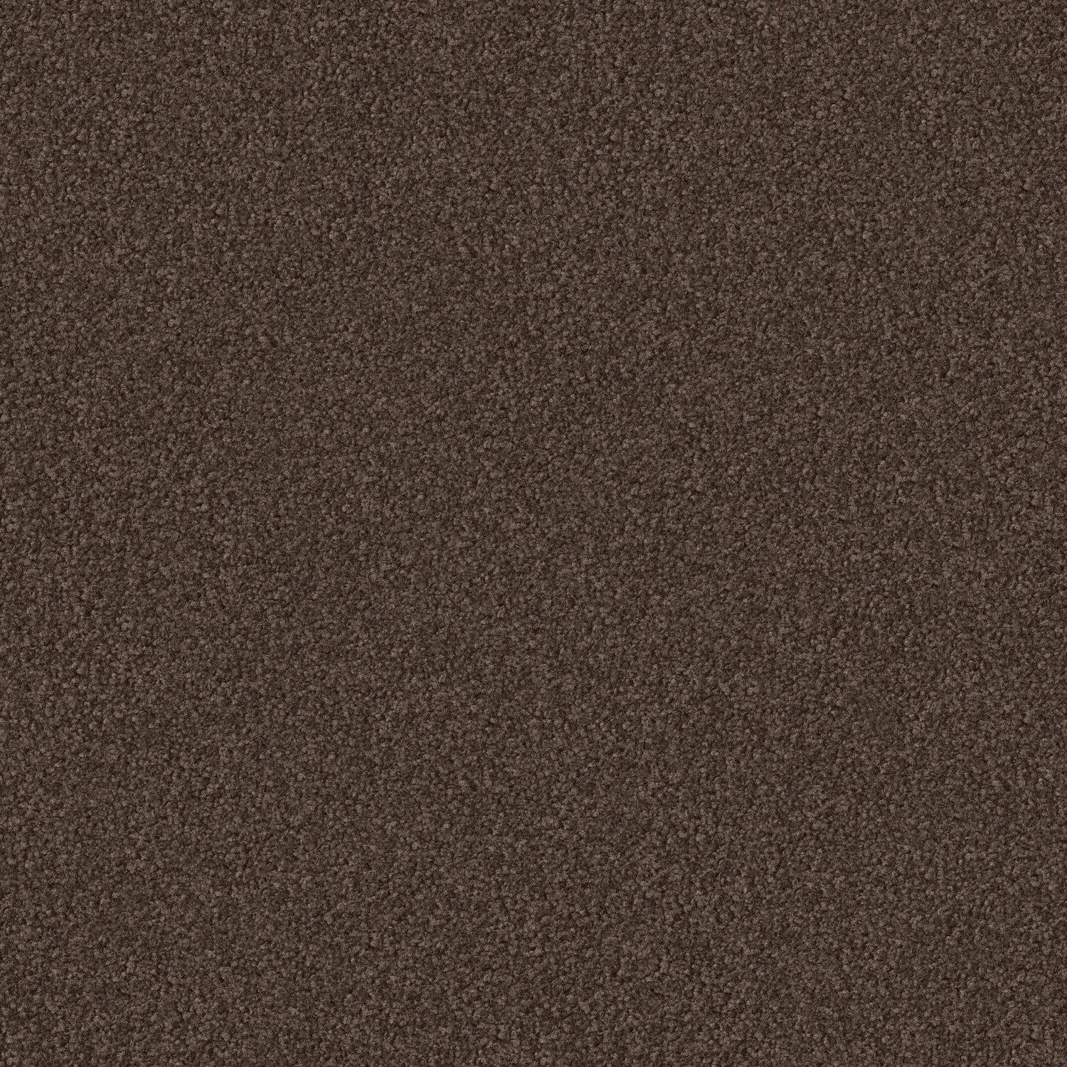 Madra 1100 cab 400: 1125 Kaffee