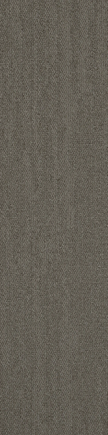Rapid Select Roam tw sd 25x100 cm: 26760 Stonegate