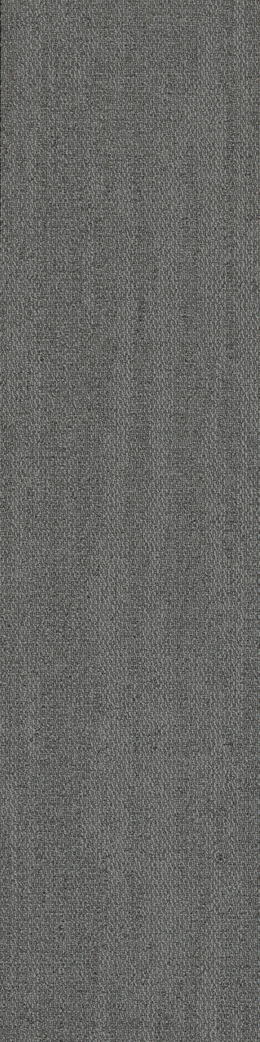 Rapid Select Roam tw sd 25x100 cm: Grey Mist 26481
