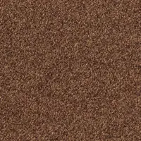 T371220 Kangaroo