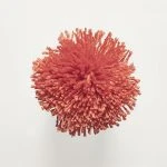 FdS Band 0 Botanical Silk (T): T20 Tomato