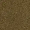 ZEO.0384 Bronze 4