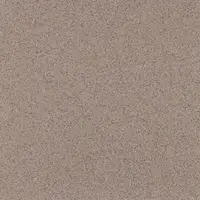 4205 Siltstone