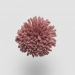 FdS Band 0 New Zealand Wool (W): W659 Berry Rose