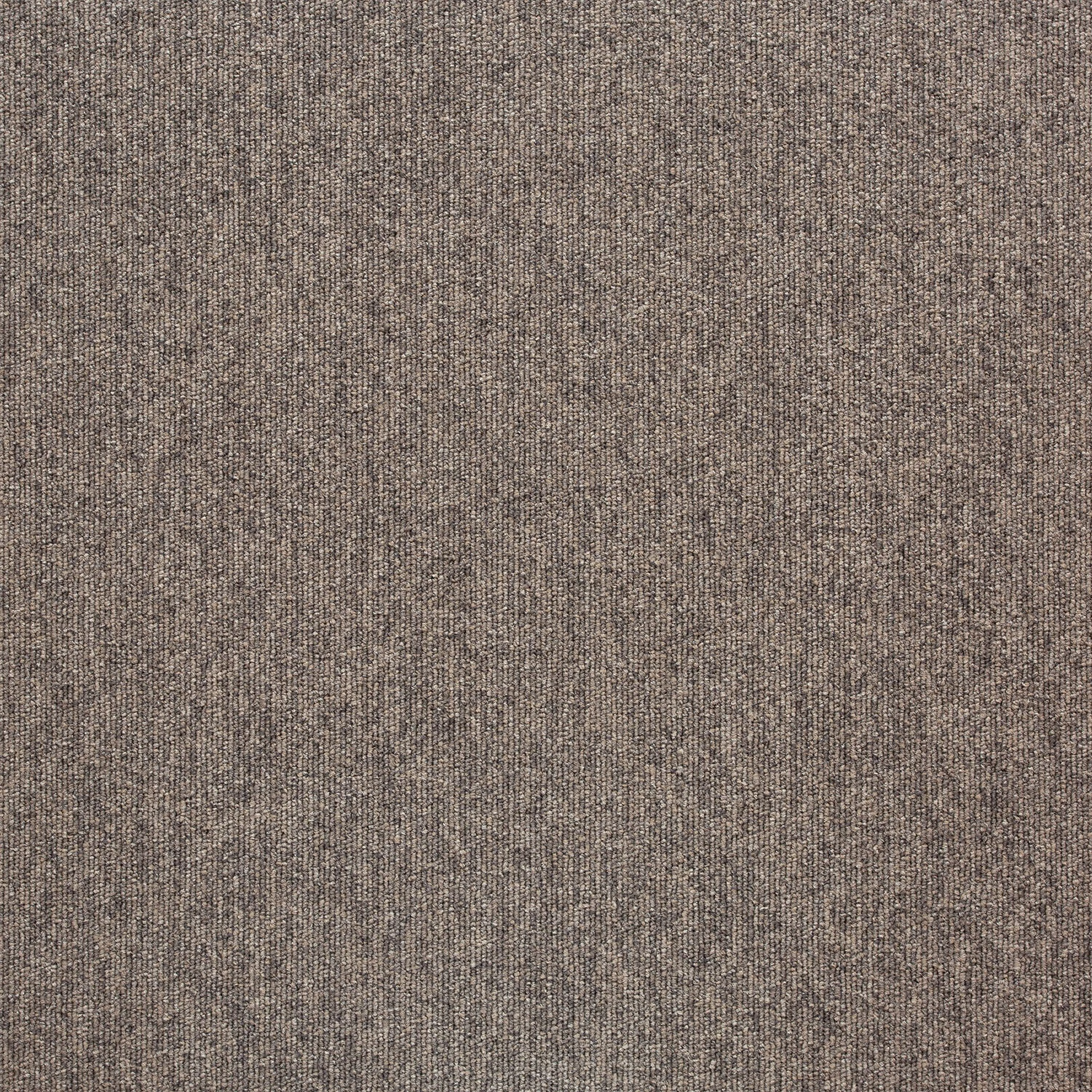 Tivoli sd acc 25x100 cm: 21108 Belize Greige