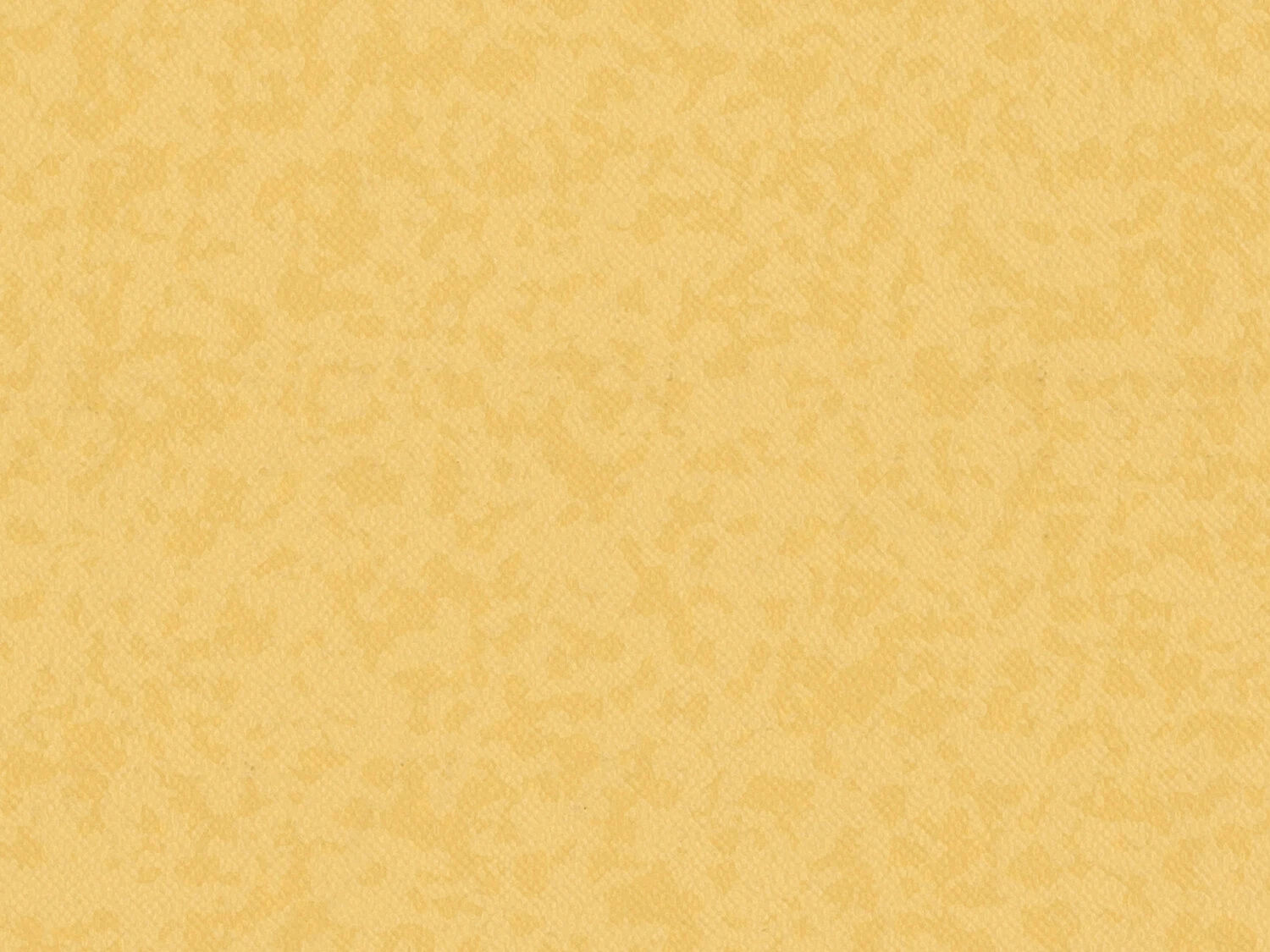 Premium Compact 2 mm-1.02 200: 4384 Barbadine