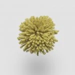 FdS Band 0 New Zealand Wool (W): W993 Citronelle
