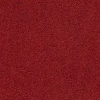 371600 Scarlet