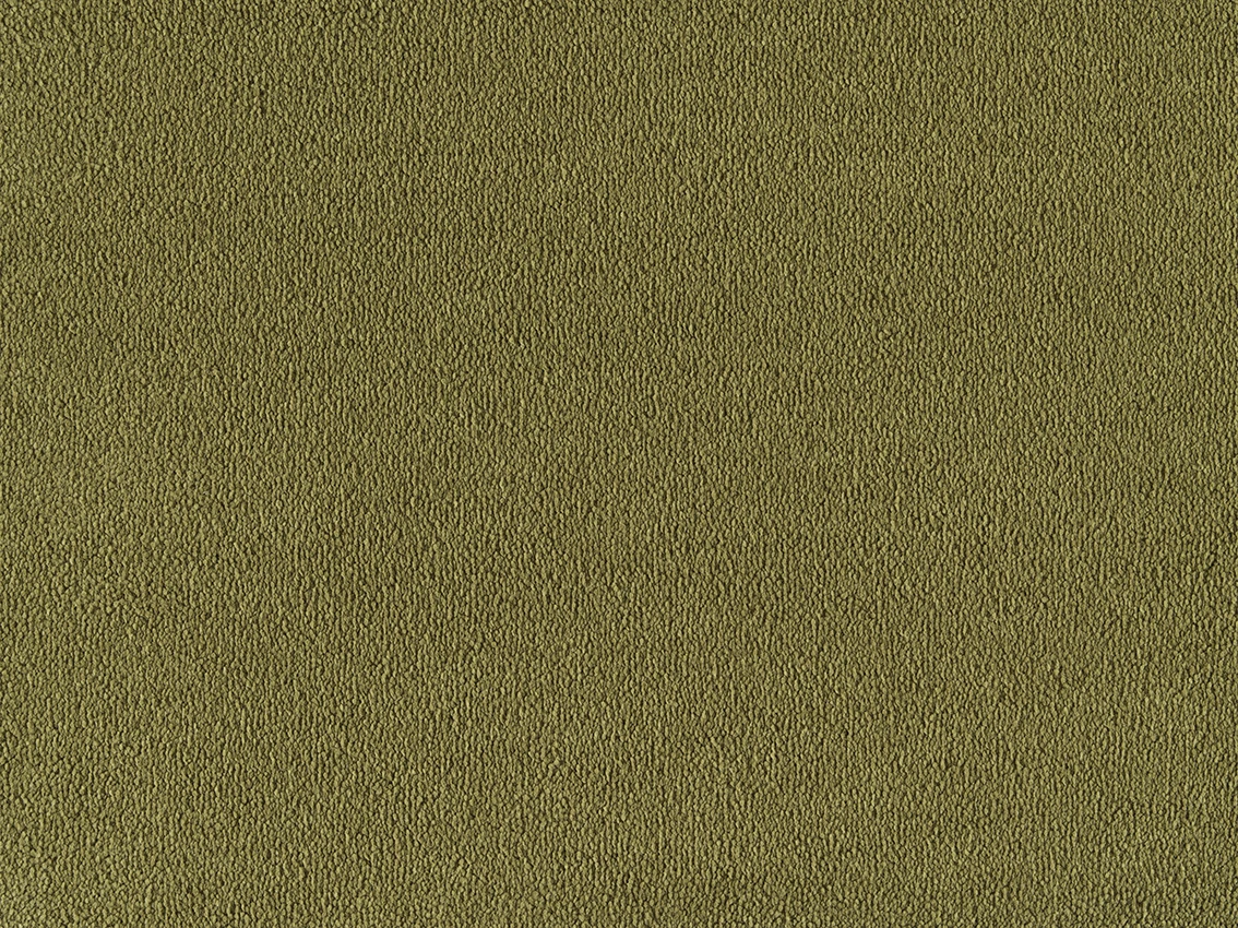 Sofia 32 kt 400 500: 500 Olive