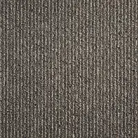 T327901 Forest Floor