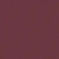 0919 Kidney