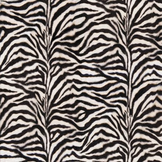 Absolute 43 2-0.70 mm 400: Zebra
