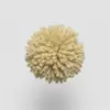 W815 Raffia