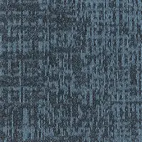 501 Gradient