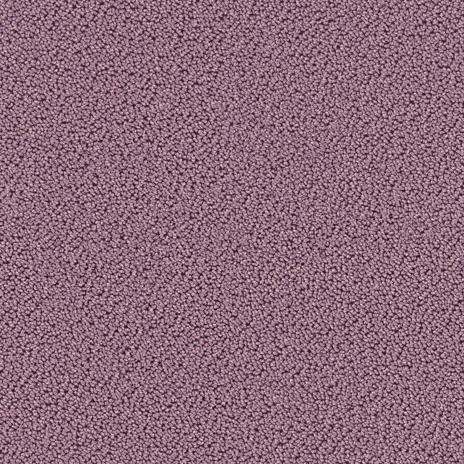 Highloop cab 400: 7731 Lavendel