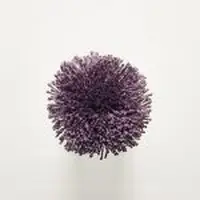 T103 Sweet Grape