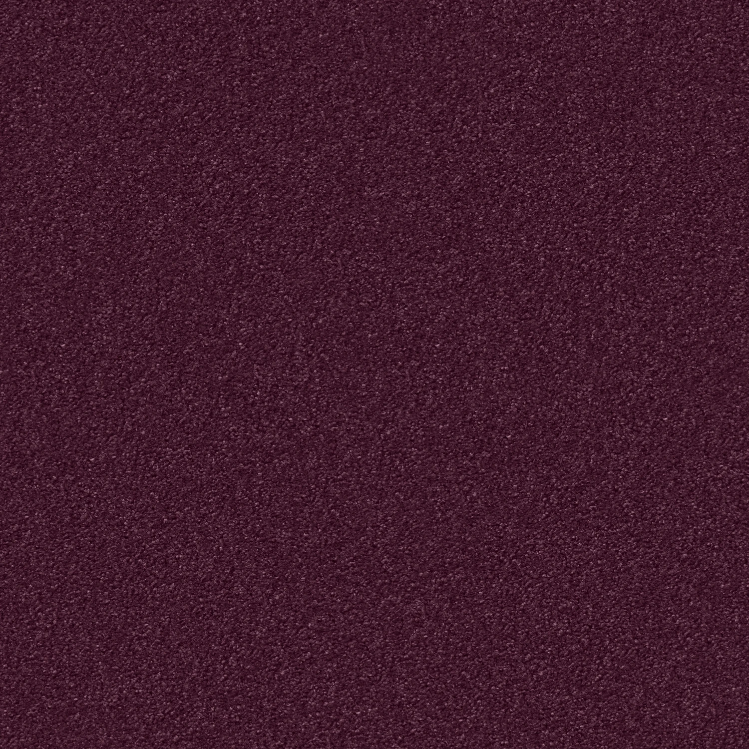 Silky Seal 1200 Acoustic Plus 400: 1207 Brombeer