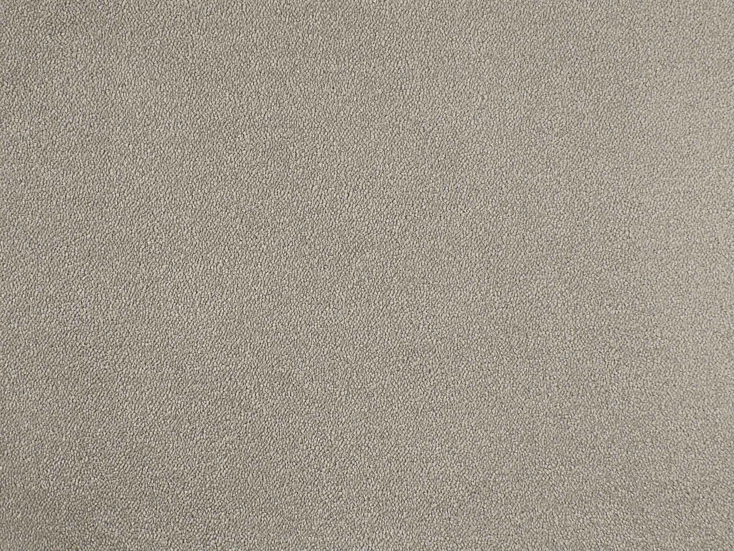 Chablis 100% Nylon lxb 400 500  : 130116 Cement