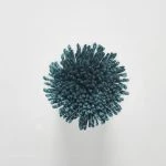 FdS Band 0 Botanical Silk Contract (TT): TT36 Blue Coral