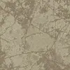 36107 Fragment