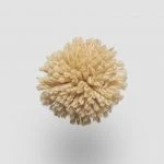 FdS Band 0 New Zealand Wool (W): W513 Sahara