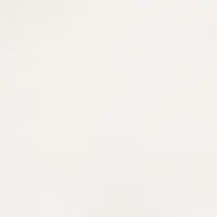 1703 Snow