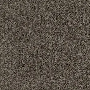 Kashmir ltx 200