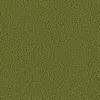 1612 Grashopper