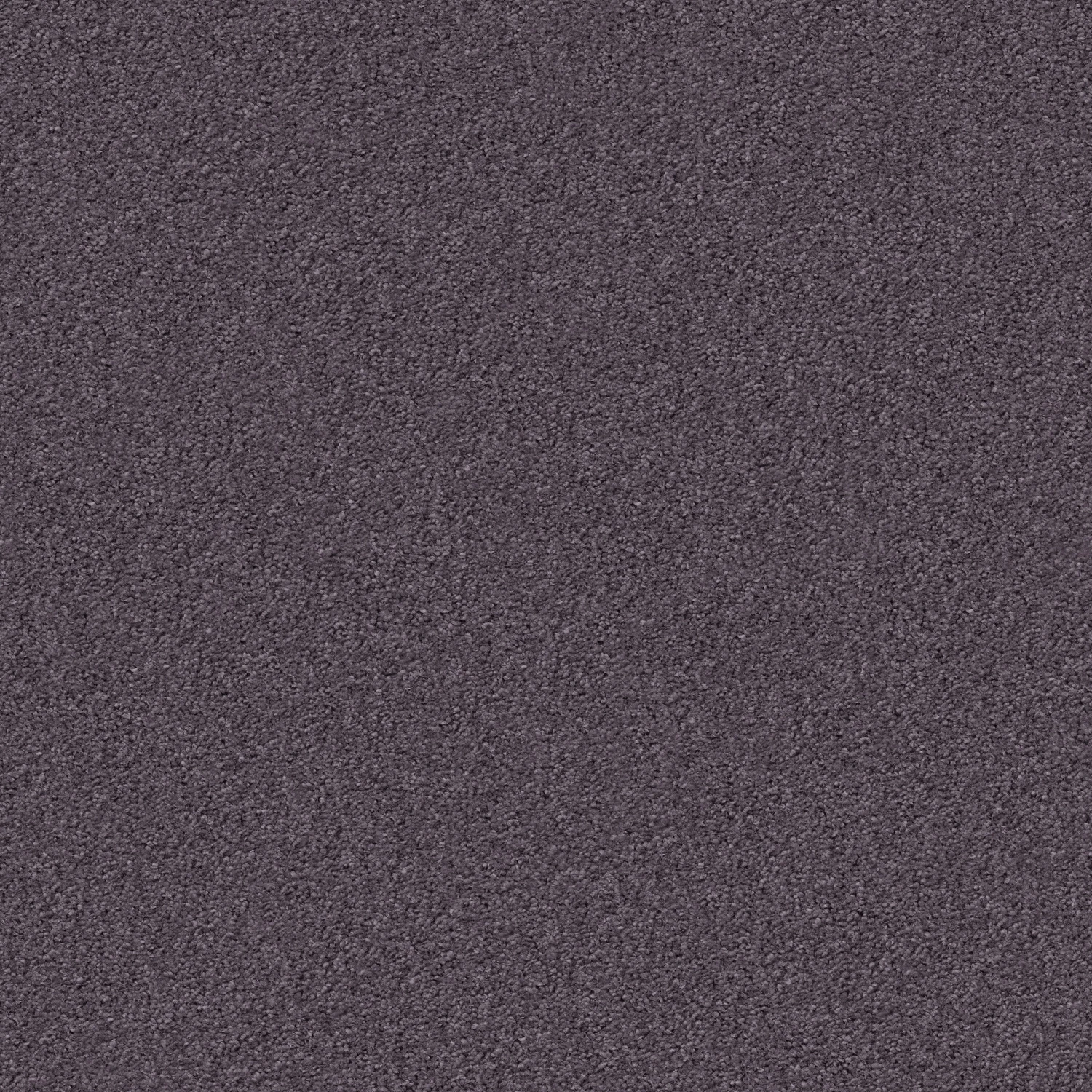 Silky Seal 1200 Acoustic 50x50 cm: 1235 Dusty Silver