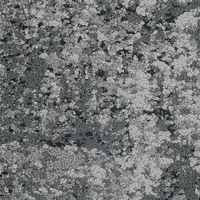 Fog 35518