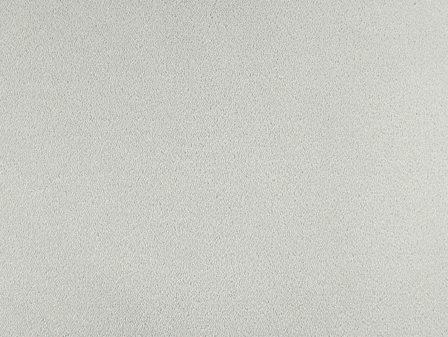 Chablis 100% Nylon lxb 400 500  : 130110 Corn White