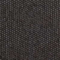 377680 Italian Plum