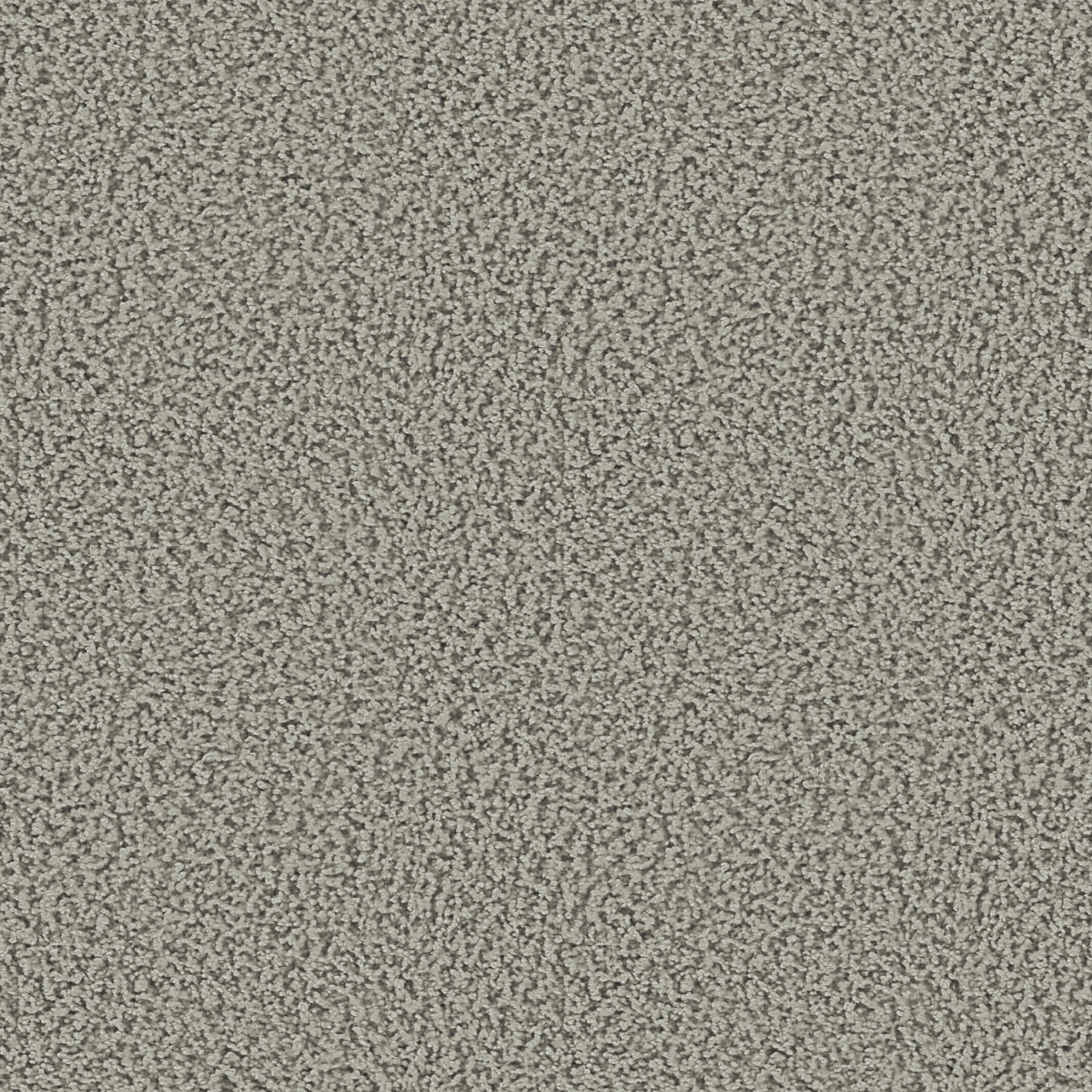 Smoozy 1600 Acoustic Plus 400: 1618 Silver