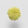 W746 Lime