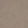 7355