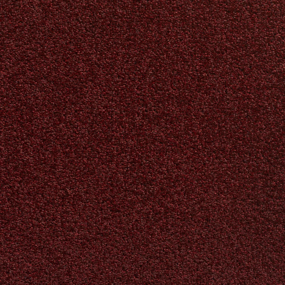 Ocean Econyl sd ab 400: 289