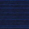 12927 Blue Reef