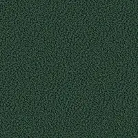 1611 Jungle