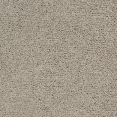 Bellezza 100% pes fb 400 500: 720730 Cammello