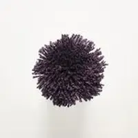 T16 Aubergine
