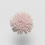FdS Band 0 New Zealand Wool (W): W229 Crystal Rose