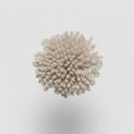 FdS Band 0 New Zealand Wool (W): W735 Sand