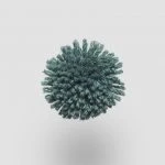 FdS Band 0 New Zealand Wool (W): W727 Jungle