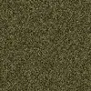1510 Thymian