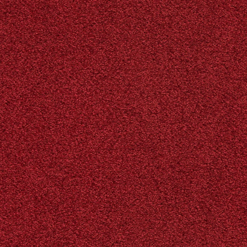 Zenith ab 400: 371600 Scarlet