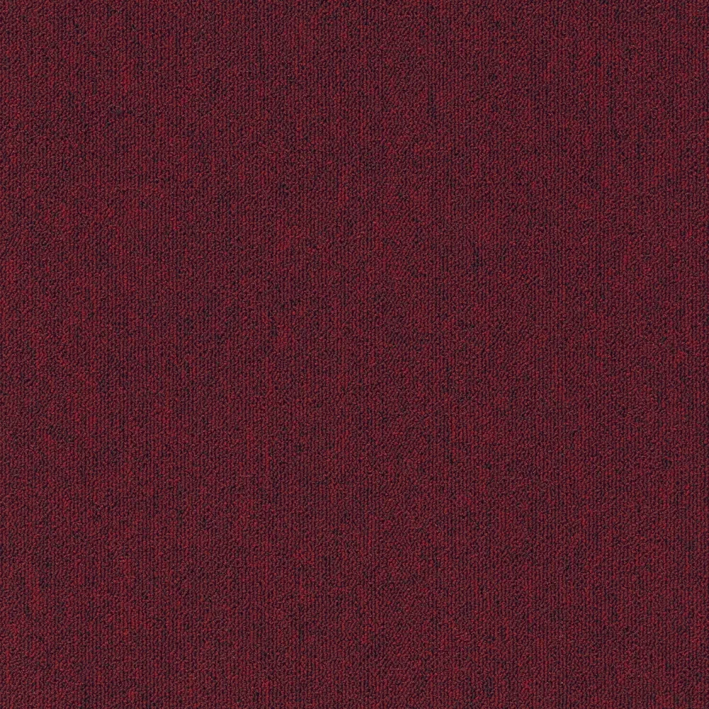 Alpha sd b2b 50x50 cm: 340