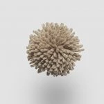 FdS Band 0 New Zealand Wool (W): W994 Linseed