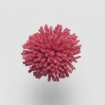 FdS Band 0 New Zealand Wool (W): W736 Virtual Pink