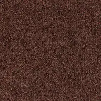 902 Brown