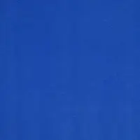 4895 Bleuet